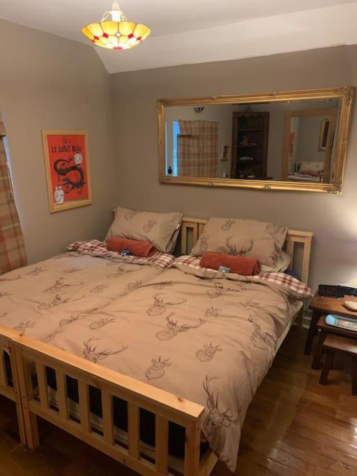 Eglwys-Fach Bear Cottage, Tyn Y Cwm מראה חיצוני תמונה